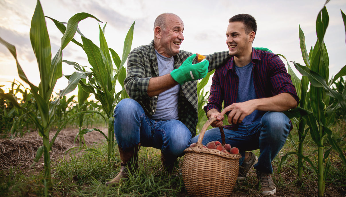 Don't Get Caught without a Business Succession Plan